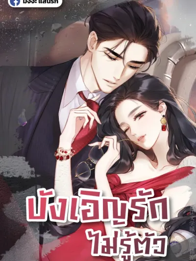 Accidental Love บังเอิญรักไม่รู้ตัวว 错撩