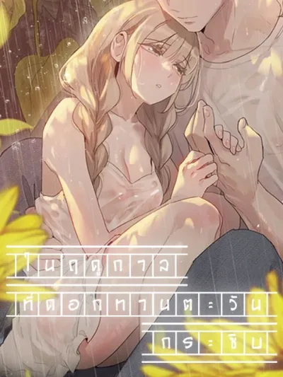 In The Season When Sunflowers Whisper ในฤดูกาลที่ดอกทานตะวันกระซิบ