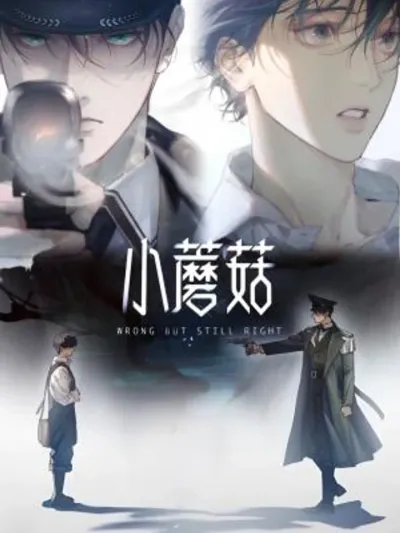 Little Mushroom เห็ดน้อย 小蘑菇